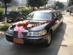 林肯加長婚車,佛山包車！